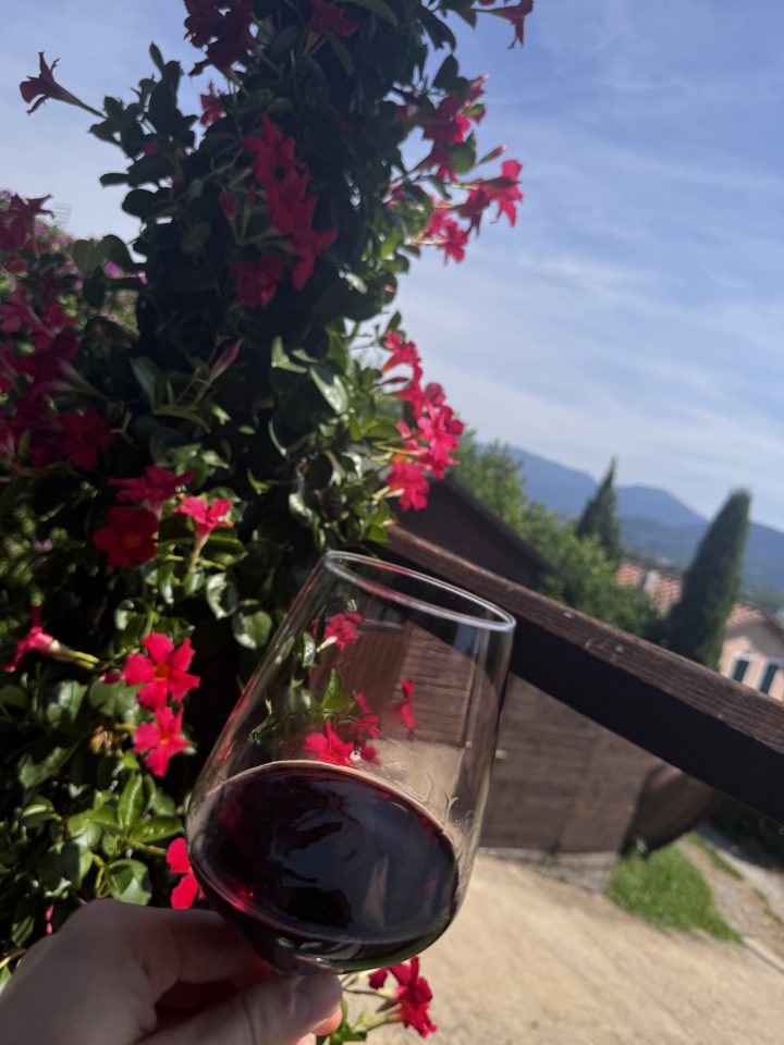 Journal photo for Day 5 — July 8